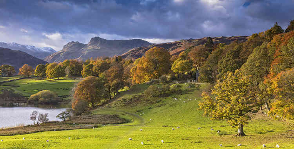 Another one of Don's favourite photos, of Loughrigg Tarn