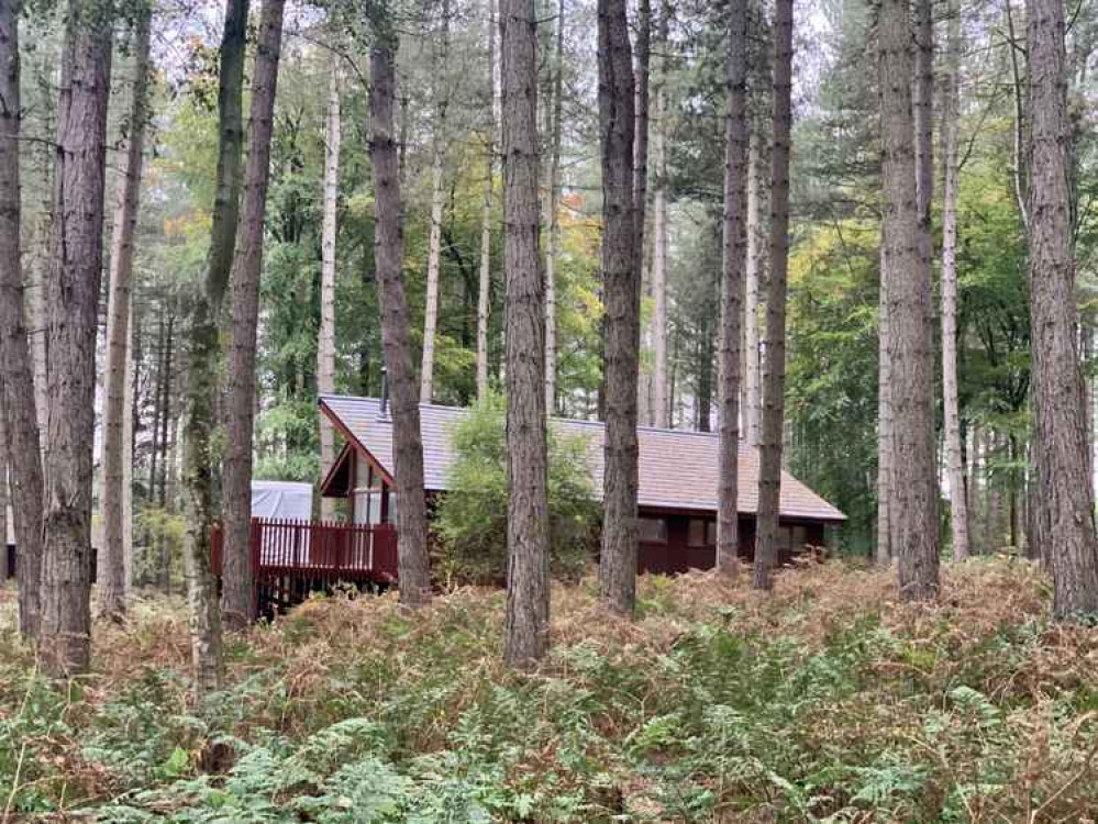 The eco-sensitive cabins are set within the woodland The eco-sensitive cabins are set within the woodland