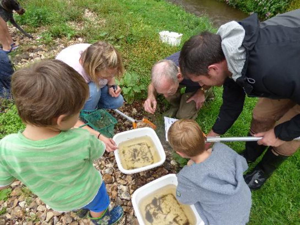 Families can search for water-loving minibeasts at this free event