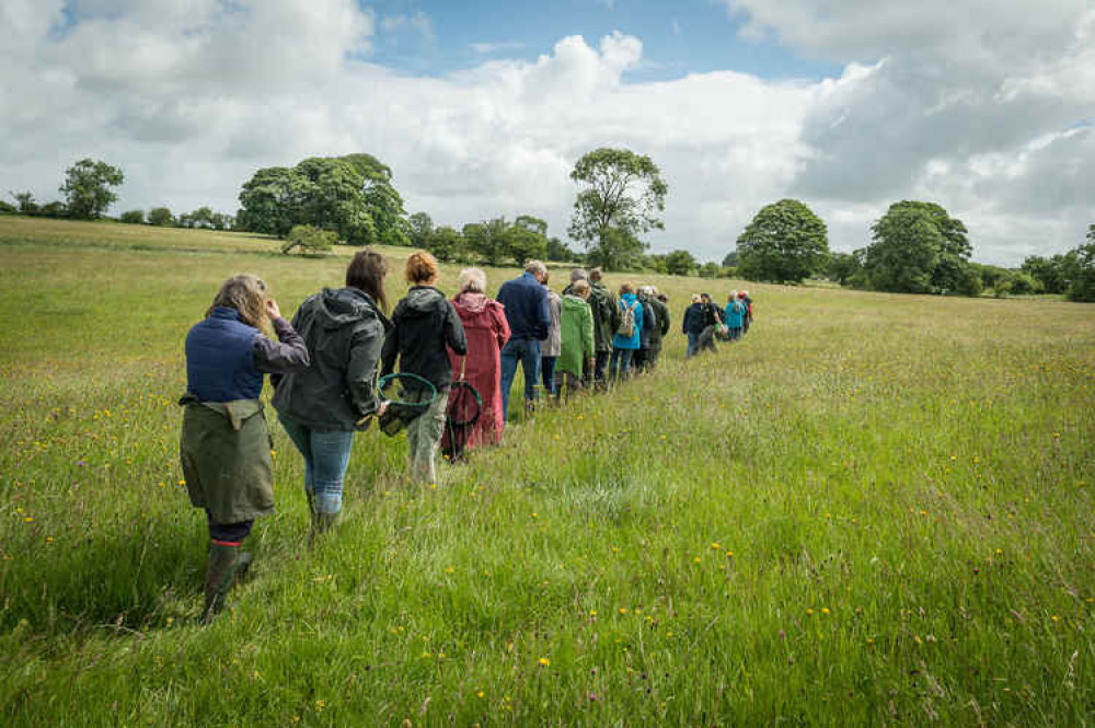 The Mendip Hills AONB has teamed up with the Somerset Wildlife Trust (Photo: Matt Sweeting)