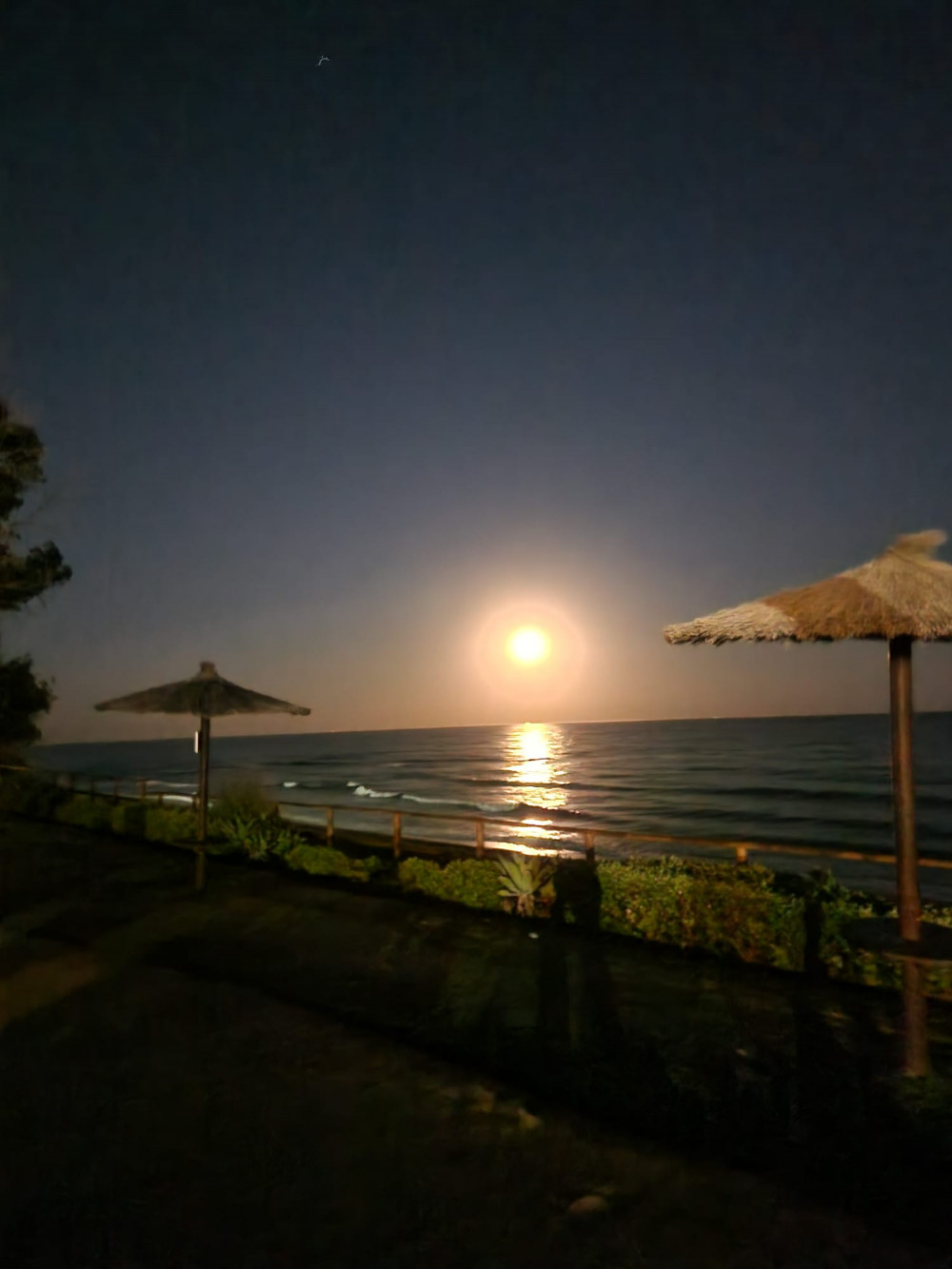 Photo of the supermoon in Malaga : Frantiska Polakova Photo of the supermoon in Malaga : Frantiska Polakova