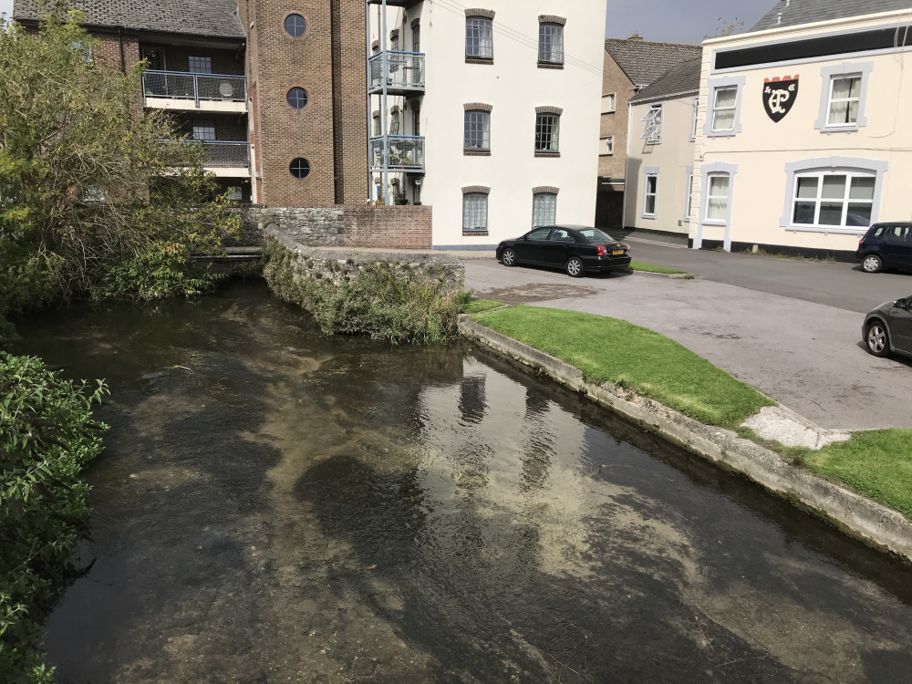 Lubbecke Way and the Mill Stream area where duck attacks have taken place Lubbecke Way and the Mill Stream area where duck attacks have taken place