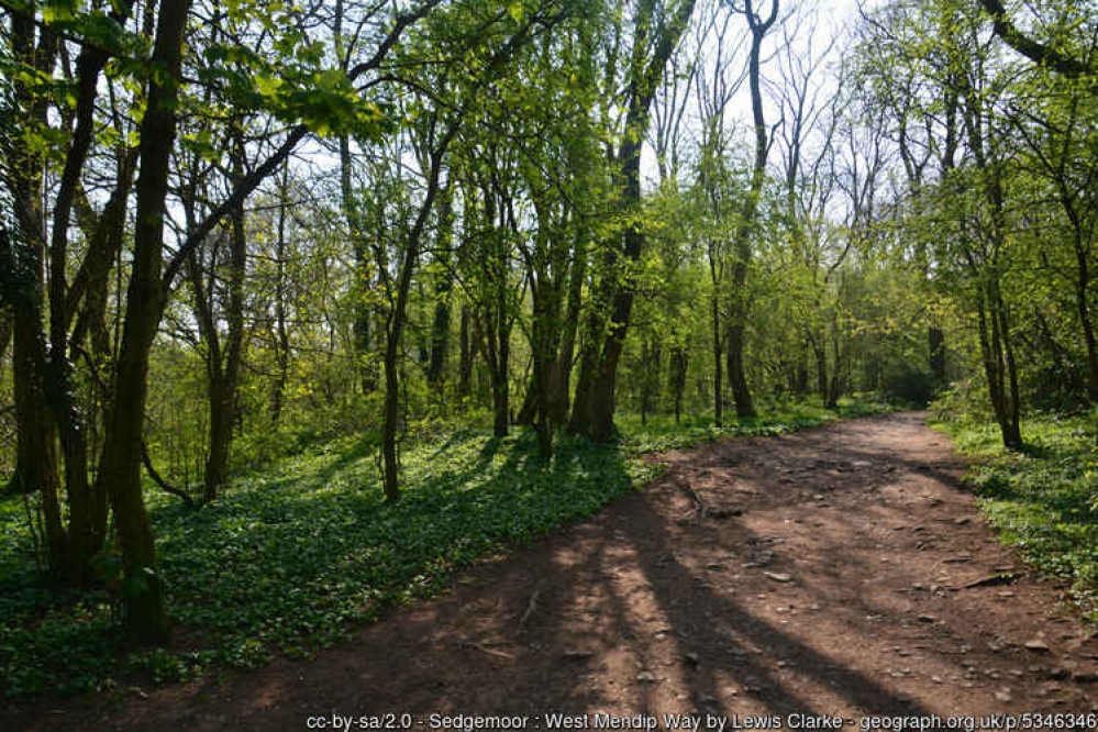 The West Mendip Way passing through King's Wood