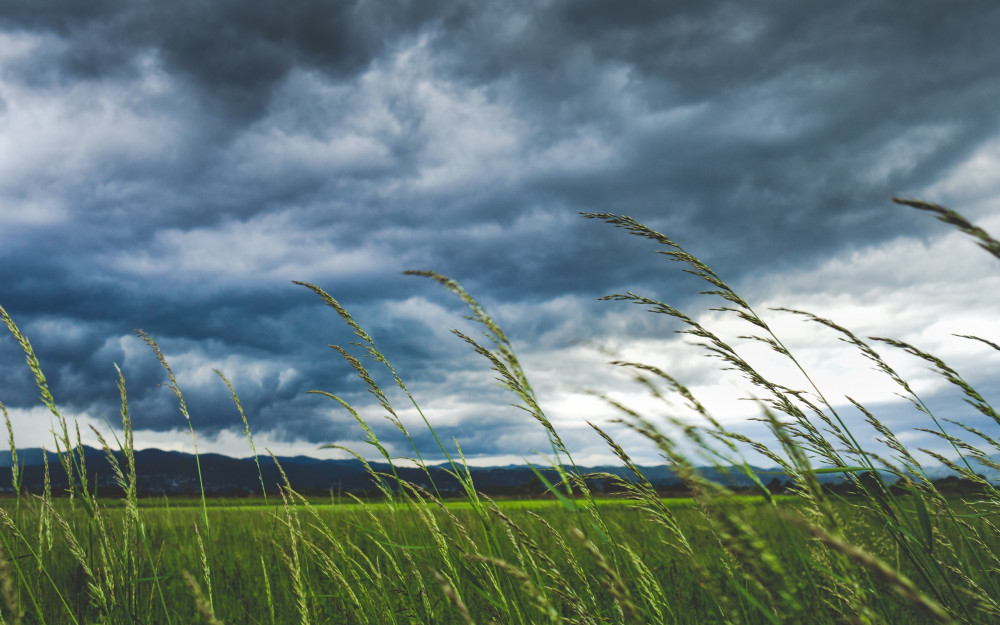 Unseasonably strong winds, transport disruptions, and potential power cuts: Somerset prepares as Storm Antoni roars in