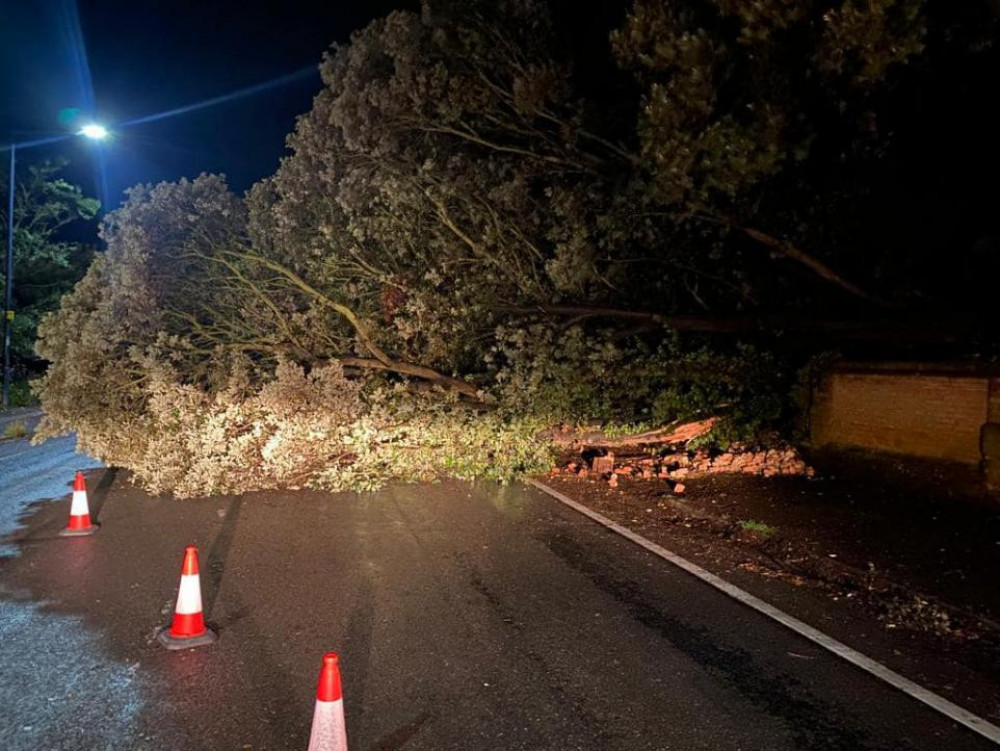 Tree down in Felixstowe (Picture: Suffolk Highways