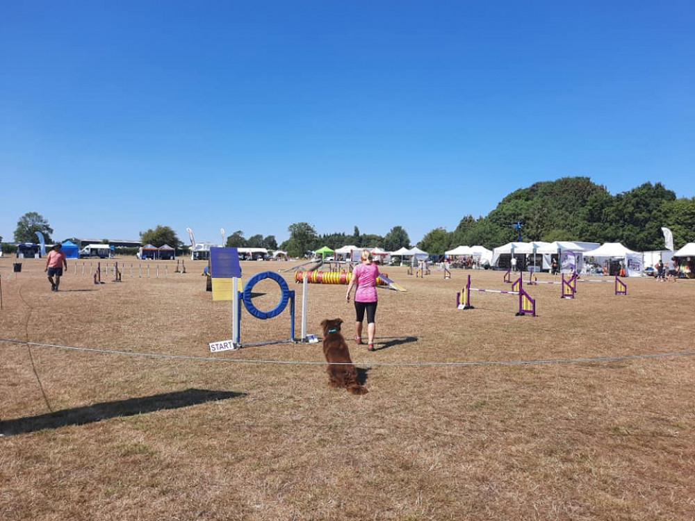 The Kennel Club Agility Show 2023 will go ahead in August. Image credit: Nub News. The Kennel Club Agility Show 2023 will go ahead in August. Image credit: Nub News.