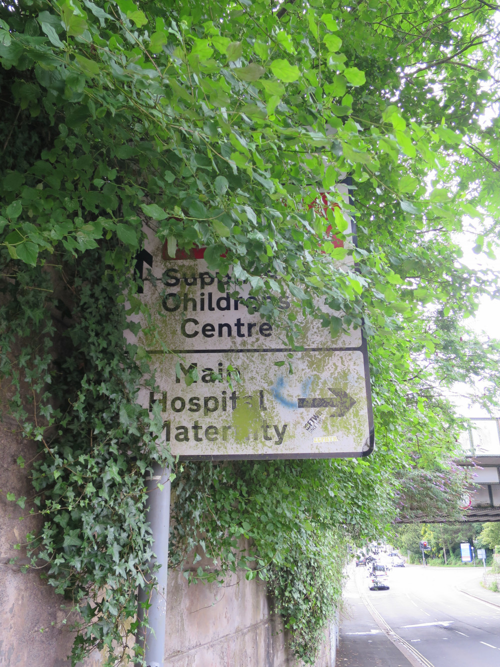 The grown over roadsign for hospital services in Damers Road, Dorchester (photo credit: Trevor Bevins)