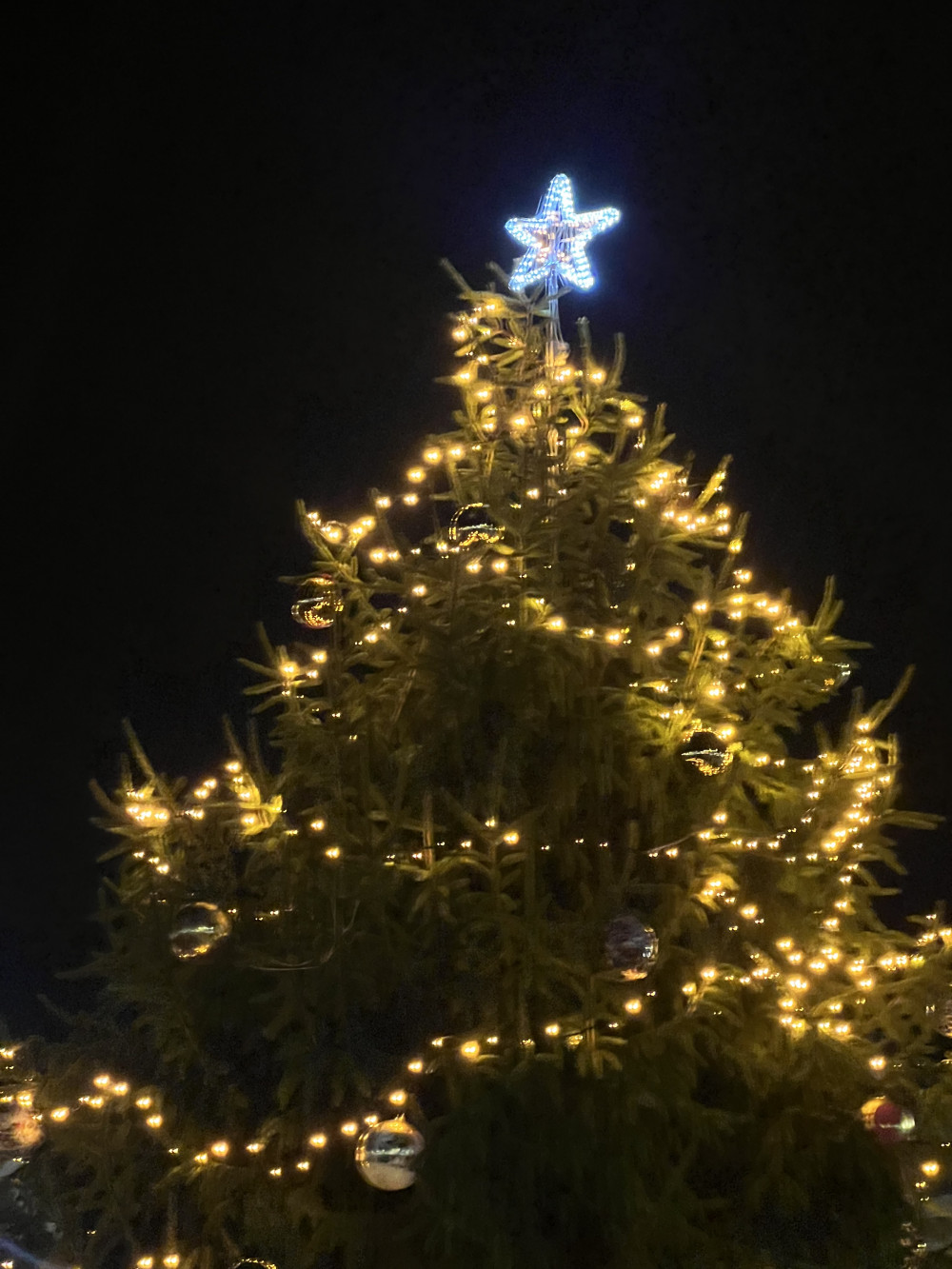 Hitchin BID provide a stunning festive display each year. PICTURE: Lights on the 2022 Christmas Tree in Hitchin Market Place. CREDIT: Hitchin Nub News 