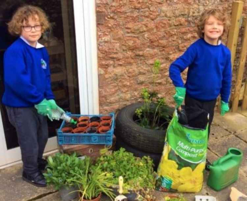 Planting at Draycott and Rodney Stoke First School Planting at Draycott and Rodney Stoke First School
