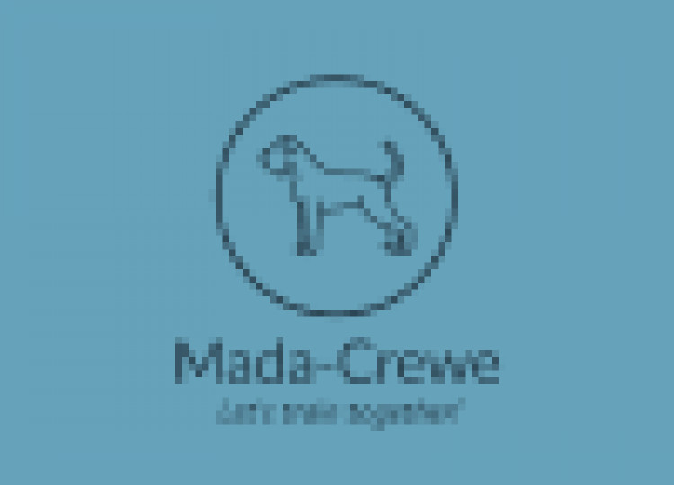 Mada-Crewe. Dog Trainer