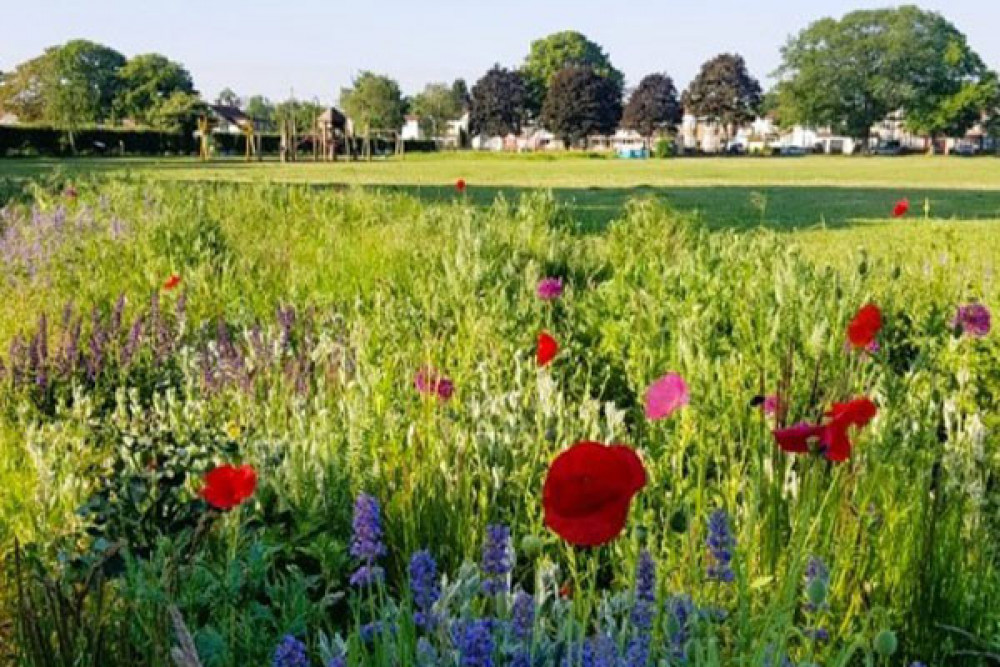 Parks and open spaces: Photo Credit: Richmond Council Parks and open spaces: Photo Credit: Richmond Council