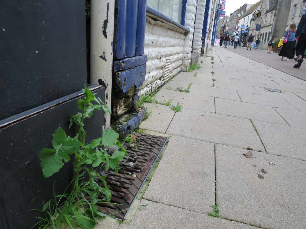 Trinity Street – weeds outside the former M&S store which is set to be redeveloped