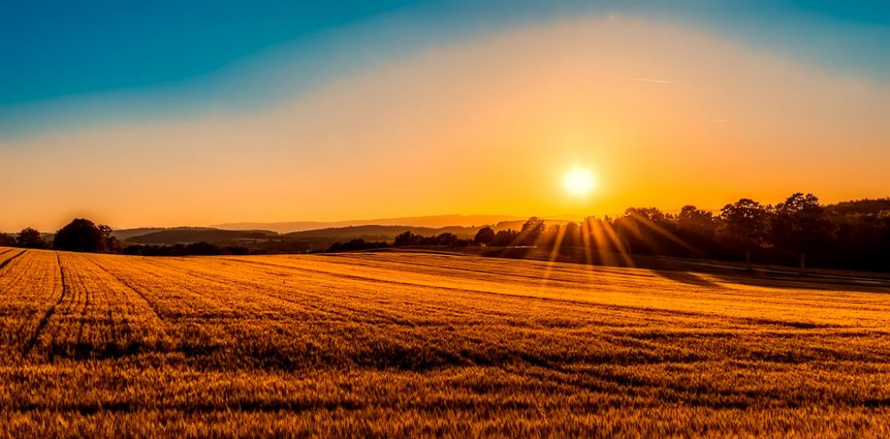 Hadleigh sunrise (Picture: Nub News)