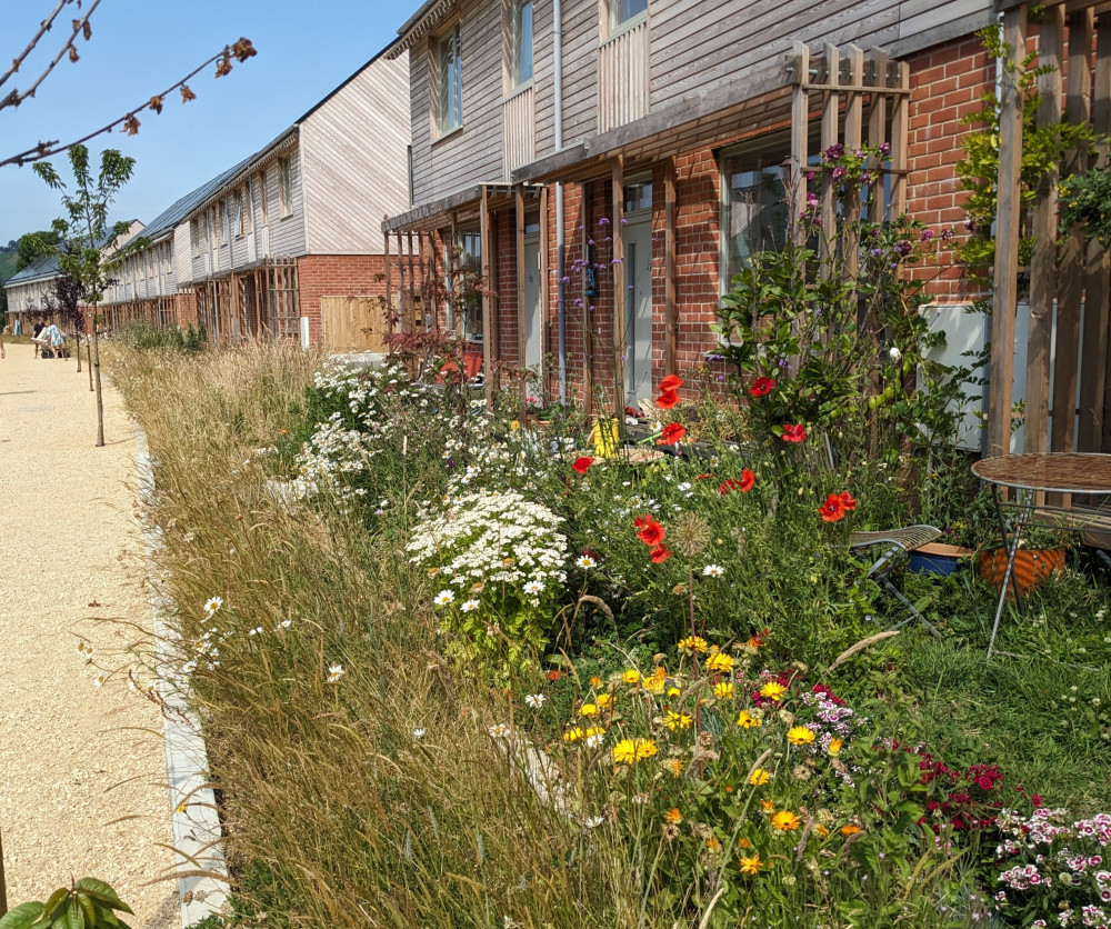 Bridport Cohousing's new Hazelmead development in Bridport