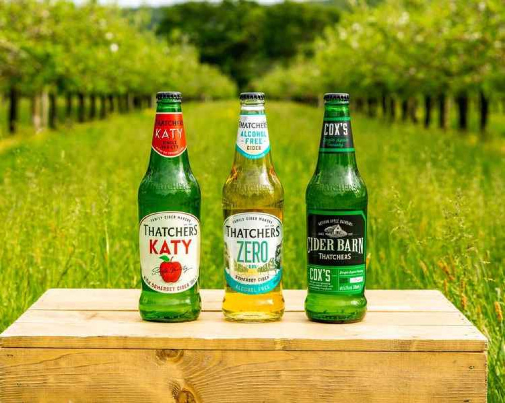 The winning trio of Thatchers Zero, Katy and Cox's