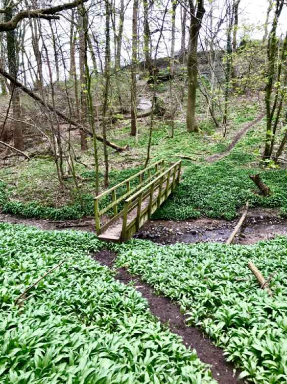 Image: Frodsham Festival of Walks Image: Frodsham Festival of Walks