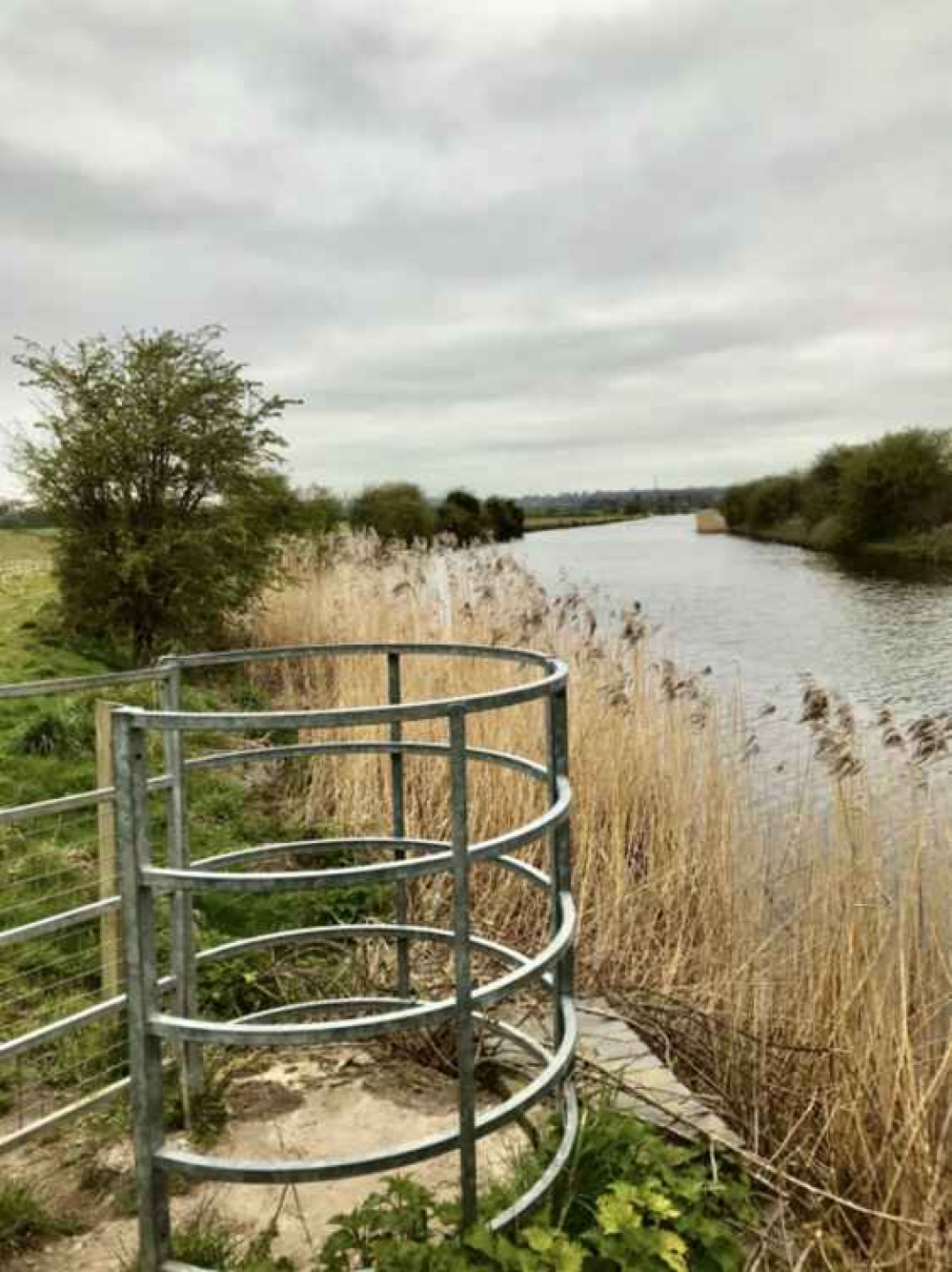 The River Weaver. Image: Frodsham Festival of Walks The River Weaver. Image: Frodsham Festival of Walks
