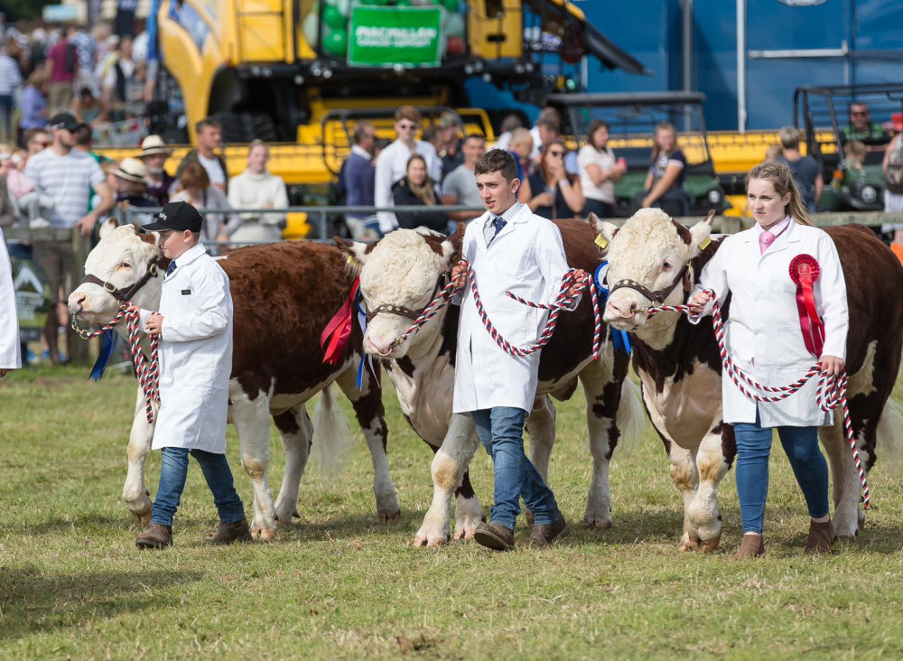 Dorset County Show celebrates agriculture and rural life