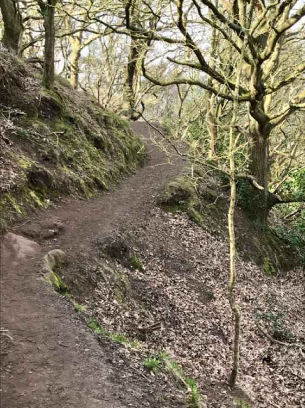 The Sandstone Trail. Image: Frodsham Festival of Walks The Sandstone Trail. Image: Frodsham Festival of Walks