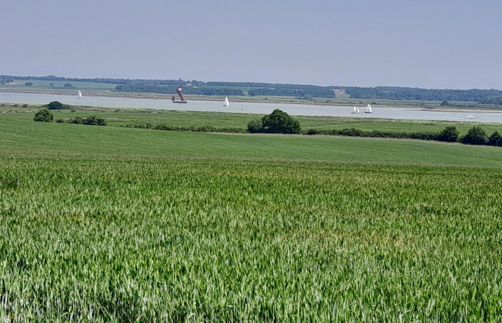 Harvest starting (Picture: Nub News)