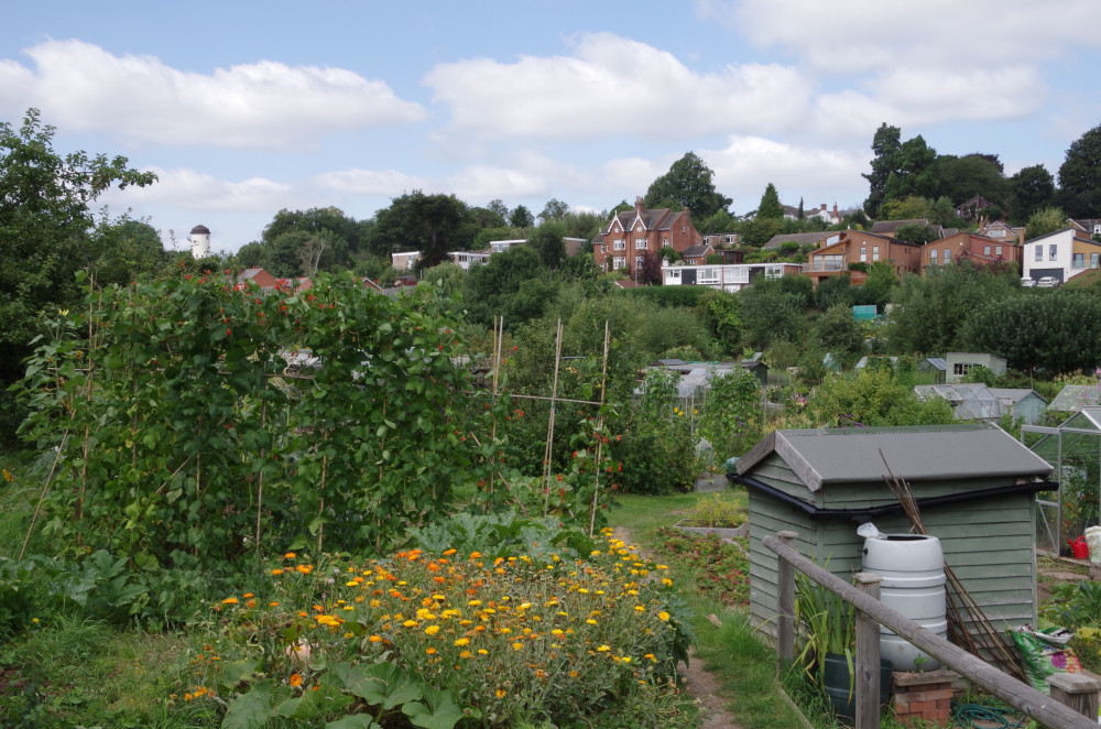 The list looked at the number of allotments in the area, as well as gardens (image via Richard Smith)