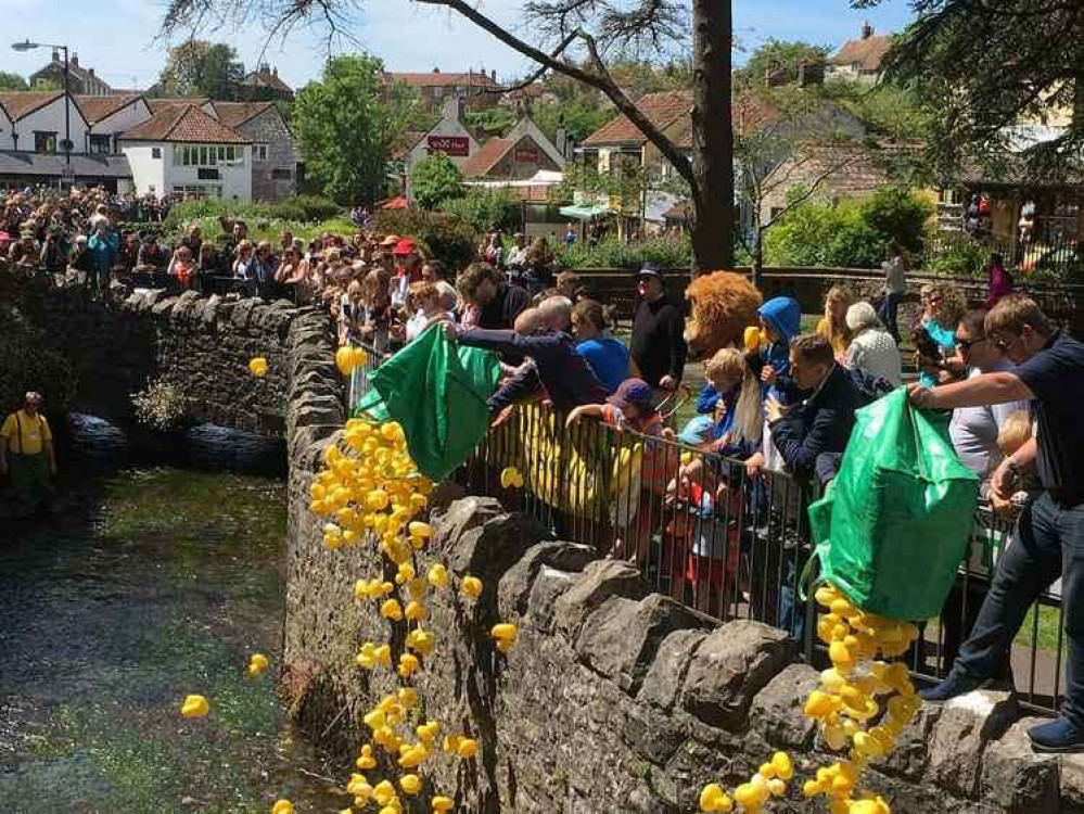 The Cheddar Vale Lions Duck Race takes place today