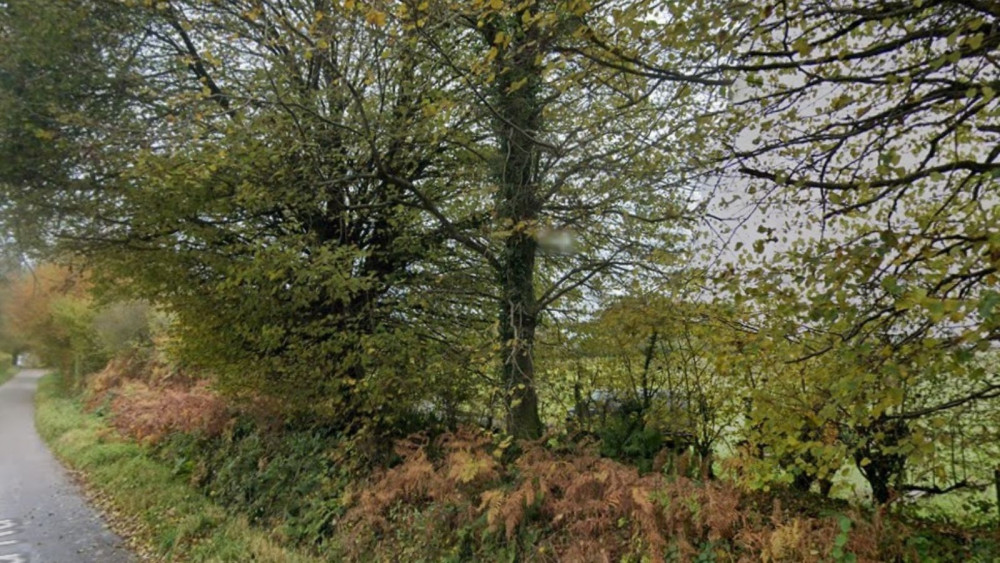 Pound Lane at Hawkchurch (Google)