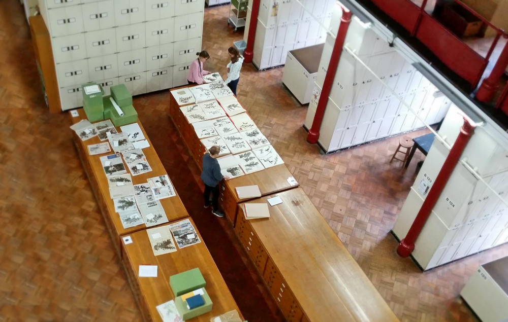 Kew Herbarium. (Photo Credit: Save Kew Herbarium).