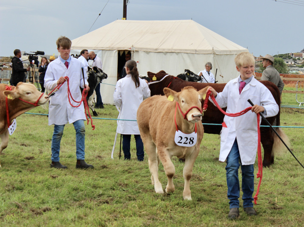 Farming, agrcilture and countryside living was celebrated at the Melplash Show