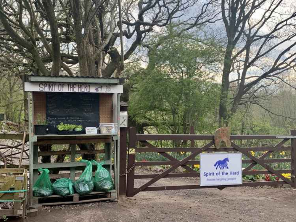 Spirit of the Herd Pony Sanctuary in Helsby