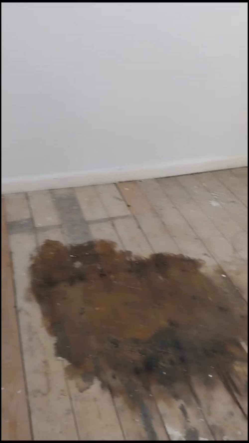 Ealing Council "strongly refutes" that Ms Kovacs' has to pay for new floorboards herself (image courtesy of Erzsebet Kovacs).