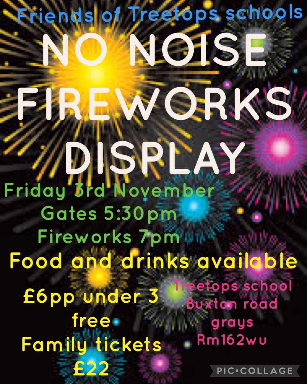 Friends of Treetops Schools No Noise Fireworks Display