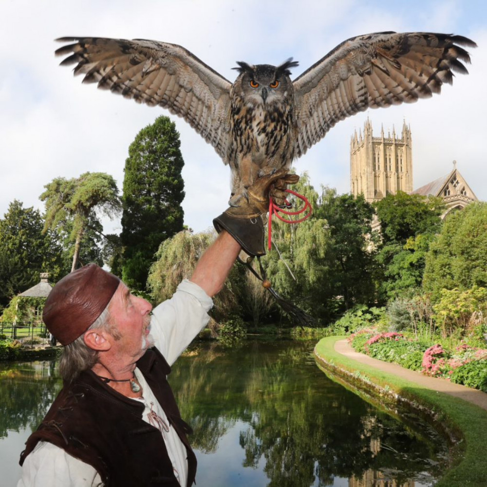 Medieval Falconry Day Medieval Falconry Day