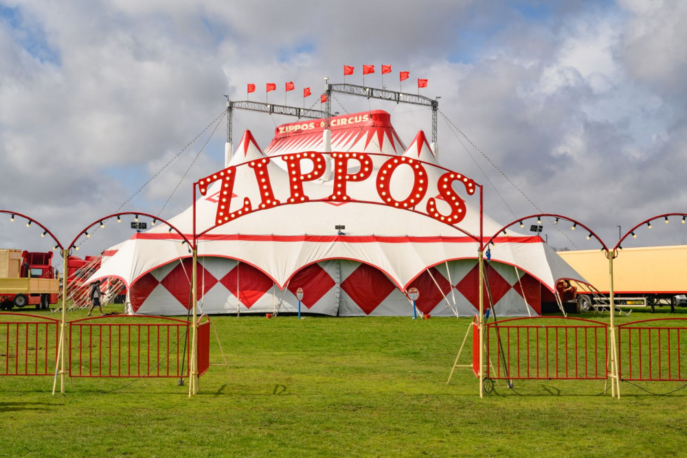 Zippo's Circus returns to Twickenham Green next week. (Photo Credit: Zippos Circus). 