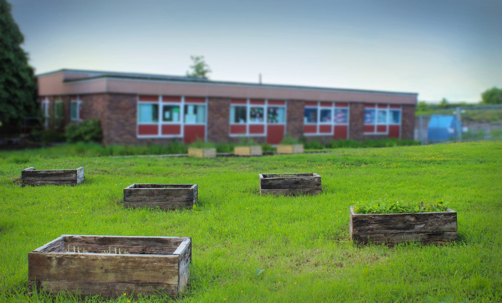 Warwickshire County Council may settle for running breakfast clubs in primary schools across the county (image via pixabay)