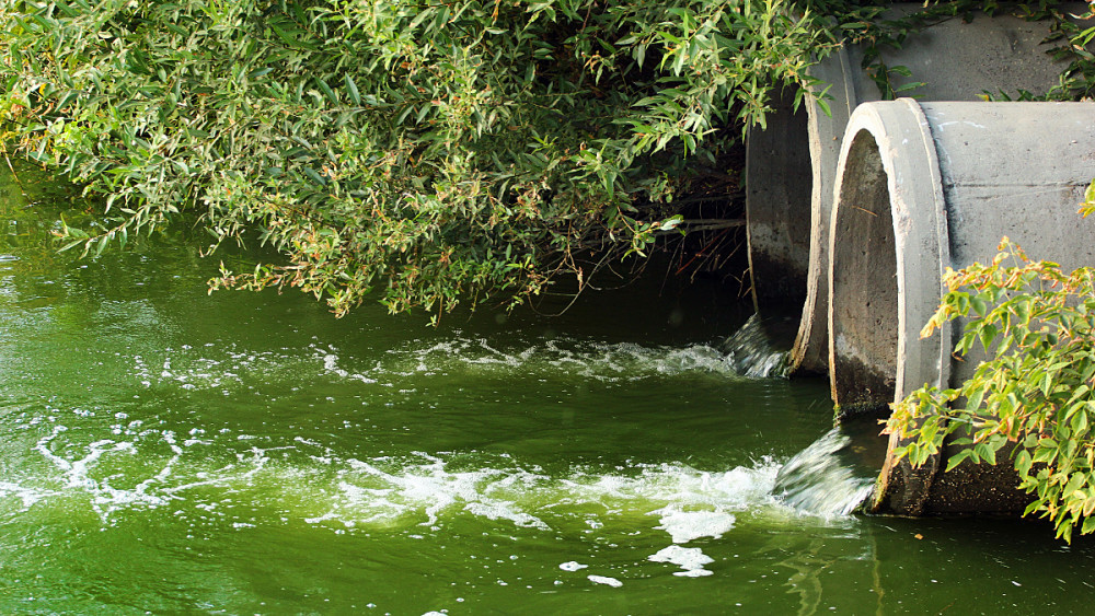 The Shepton Mallet Water Recycling Centre itself had 35 instances of sewage spills over the last year, with a total duration of 387 hours. In close proximity,