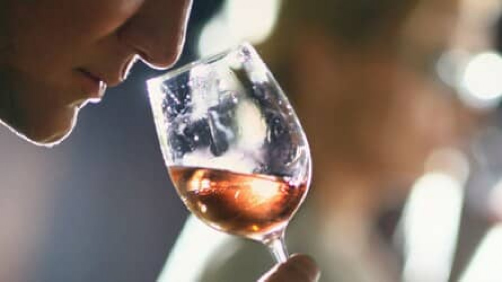 Wine Tasting Fundraiser Wine Tasting Fundraiser