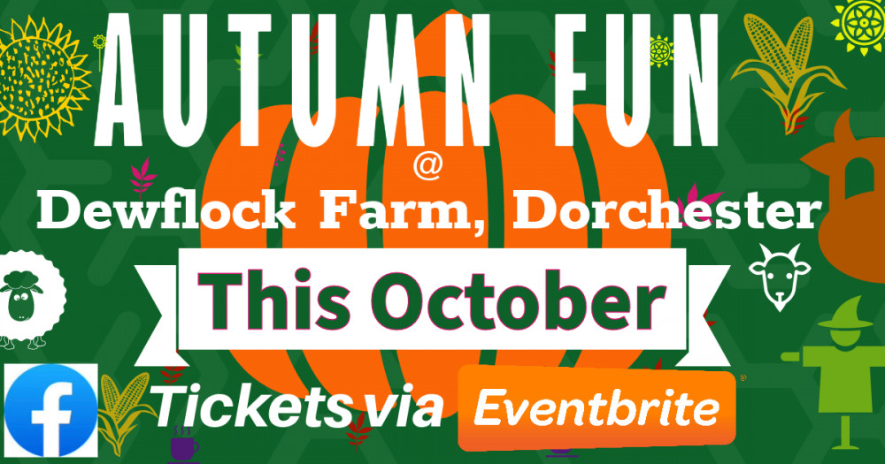Autumn Fun @ Dewflock Farm Autumn Fun @ Dewflock Farm