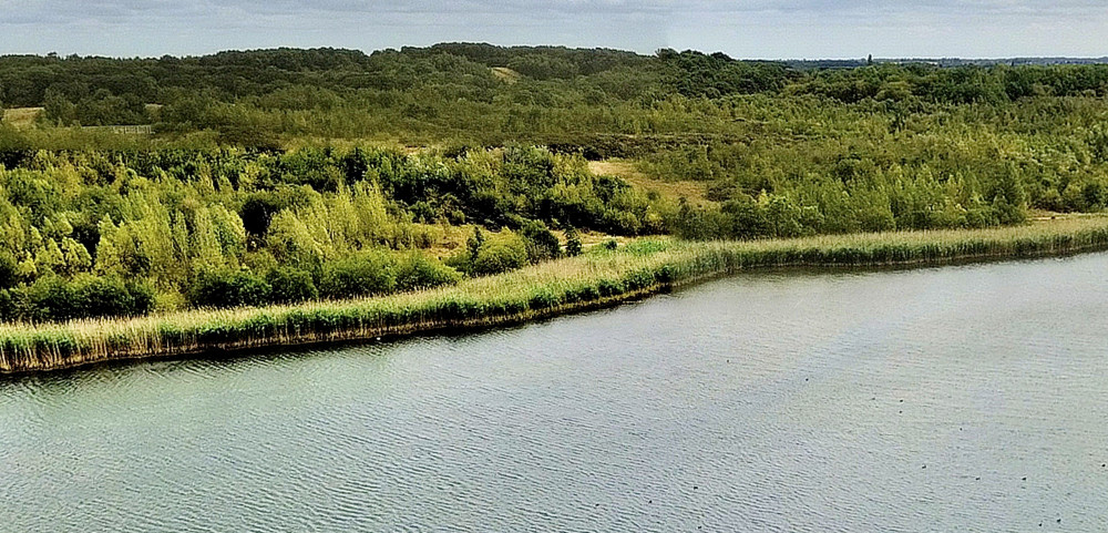 The events are being held around Albert Village Lake. Photo: Instantstreetview.com