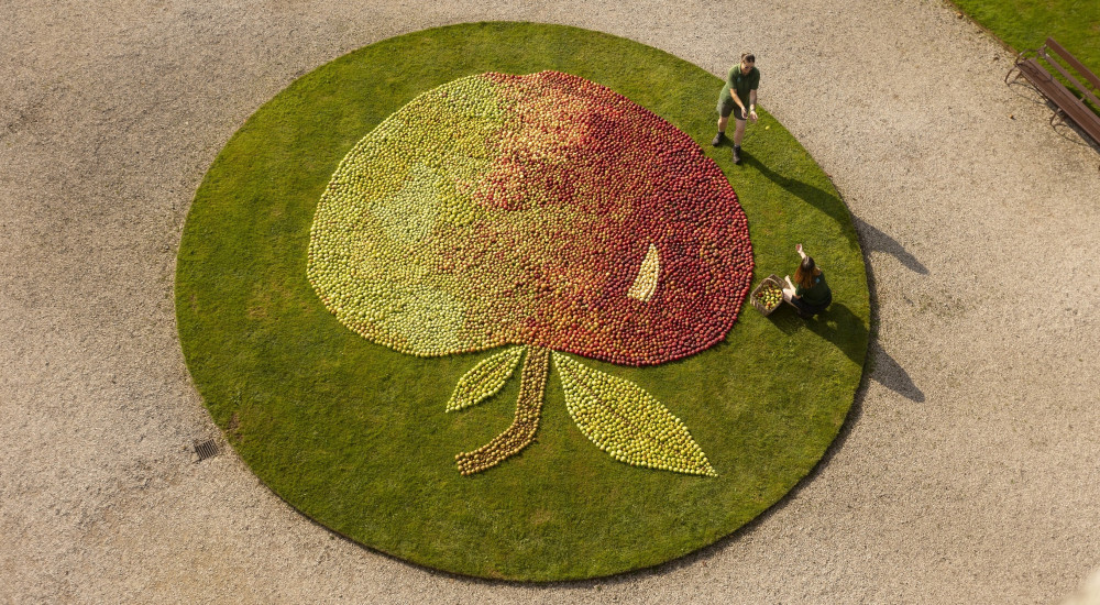 Apple creation (Picture: National Trust/SWNS)