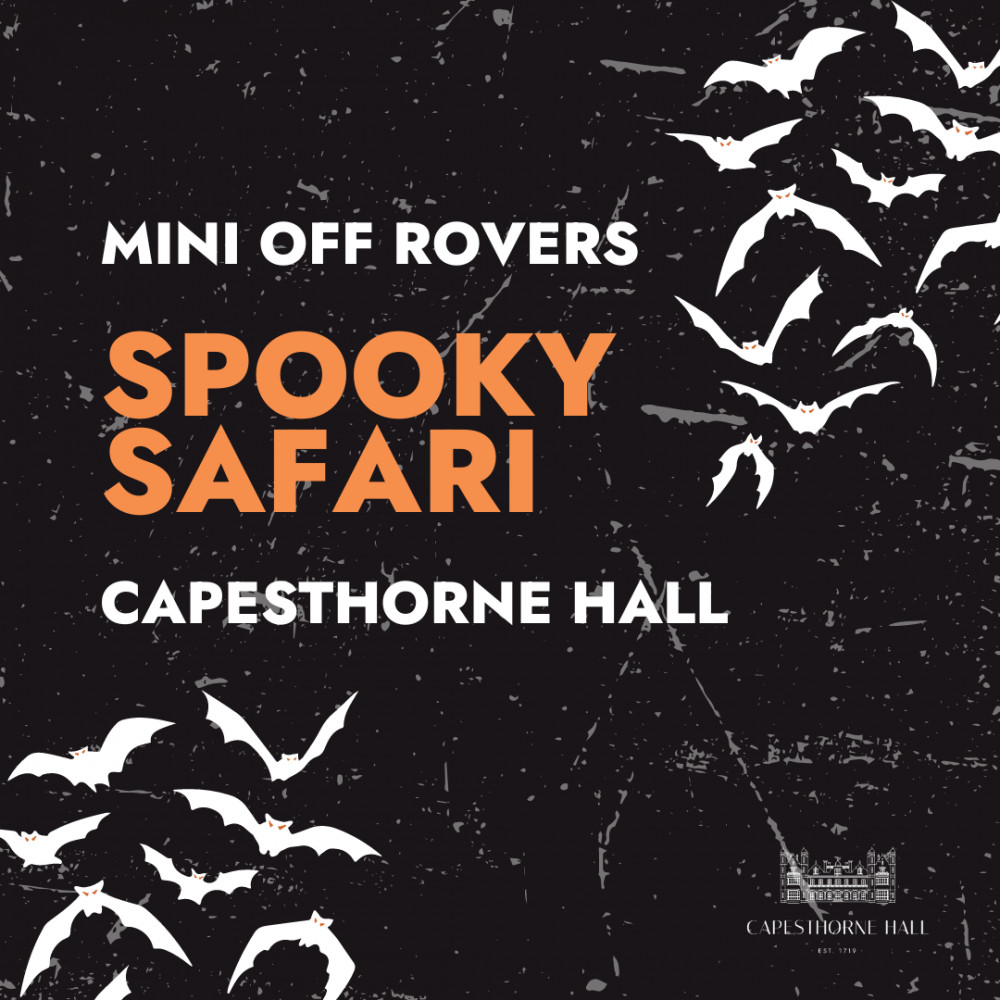 Mini Off Rovers - Spooky Safari