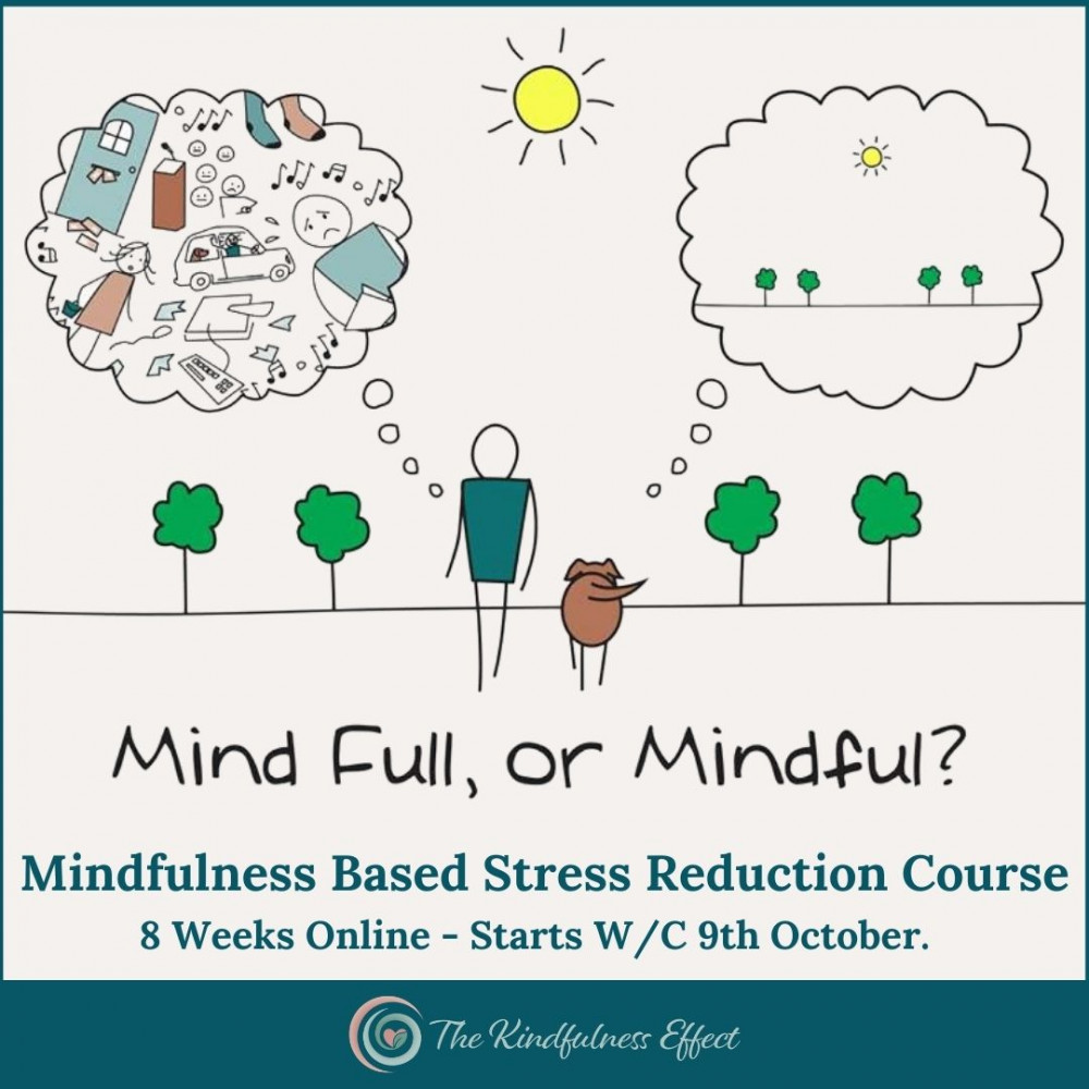 Mindfulness Based Stress Reduction Course - 8 weeks online Mindfulness Based Stress Reduction Course - 8 weeks online