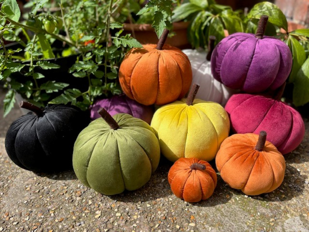 Pumpkin Patch at The British Schools Museum