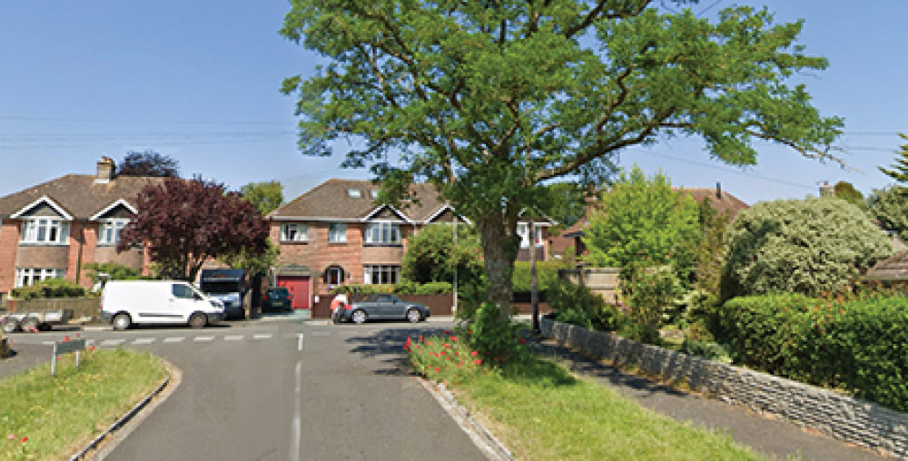 The tree causing concern at the junction of Grosvenor Road and Grosvenor Close. 