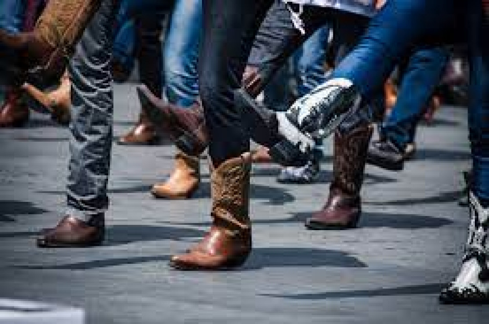 Line dance (Picture: Nub News)