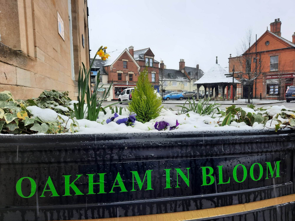 Oakham in Bloom volunteers are getting ready for their annual quiz, set to take place in November. Image credit: Nub News.  