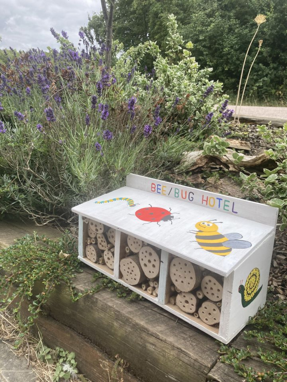 Make a Bug Hotel 