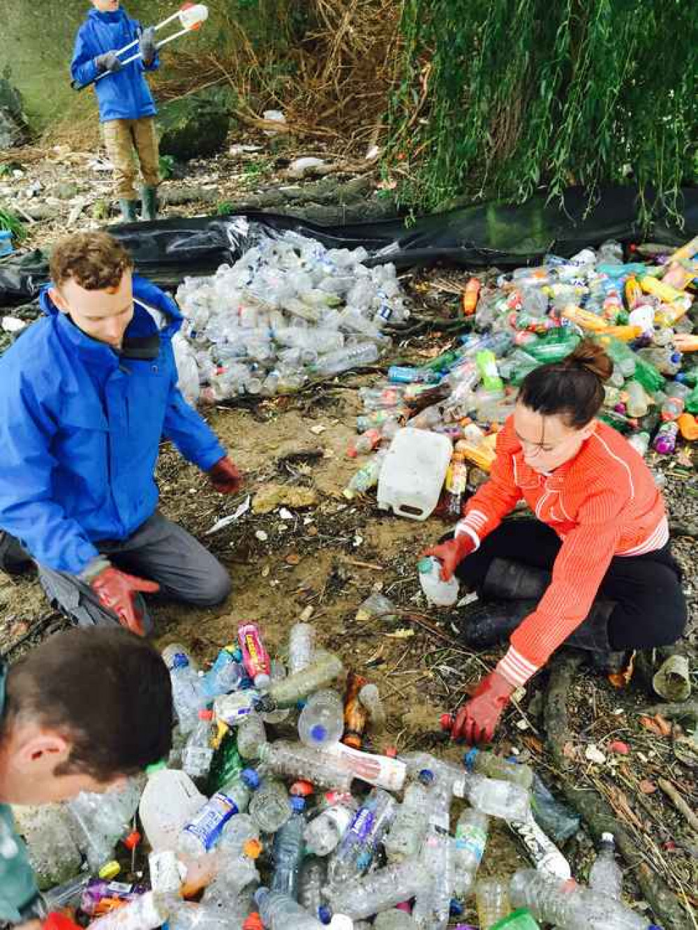 Almost 600 plastic bottles were collected at Crabtree Wharf Big Bottle Count 2016. Credit: Thames21