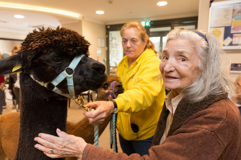 Resident with Alpaca at Rossetti House 