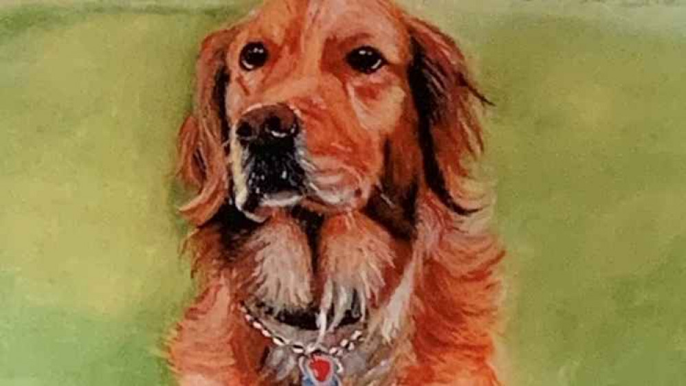 You could also win a pet portrait by Baroness Von Dedem / Photo via Crossroads Care Richmond